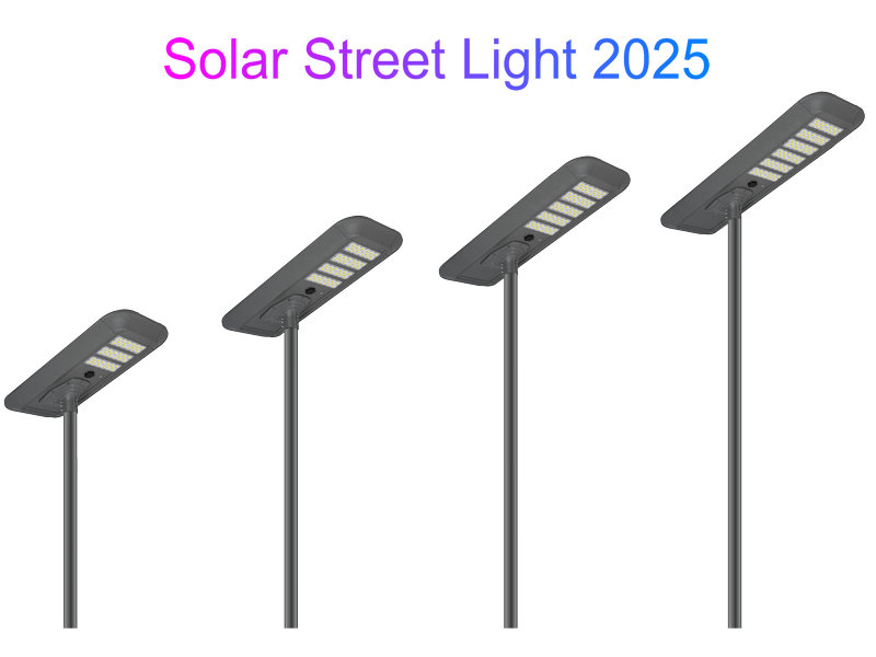 ¿Cuál fue la situación de exportación de las luces de la calle solar en 2024? ¿Cuál es la perspectiva de las luces de la calle solar en 2025?